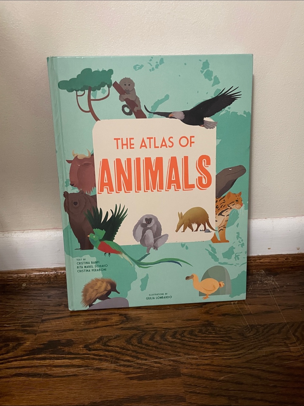 The Atlas of Animals - Teal Children's Animal Reference Book